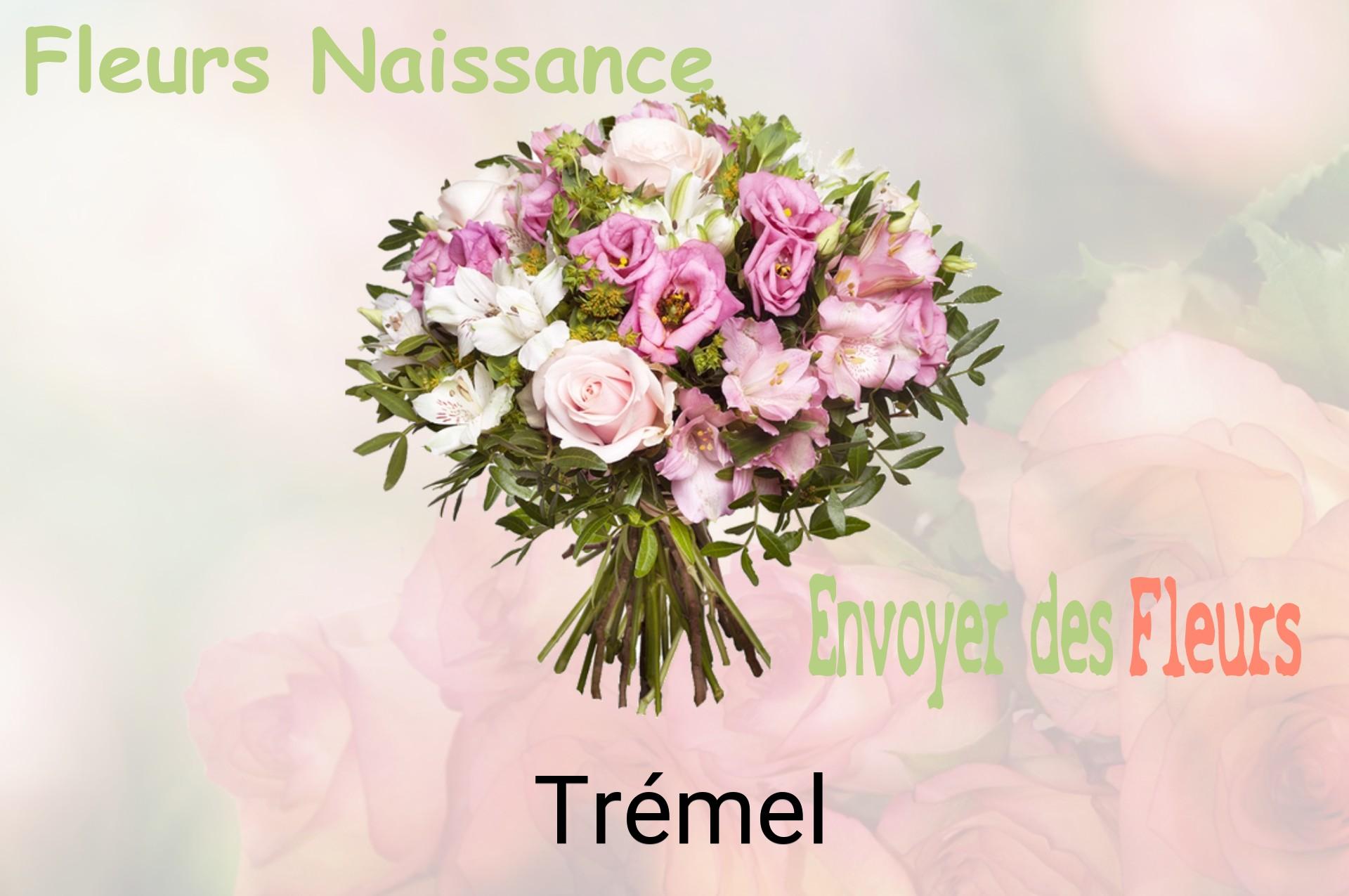 Bouquet de fleurs de naissance livré à Trémel