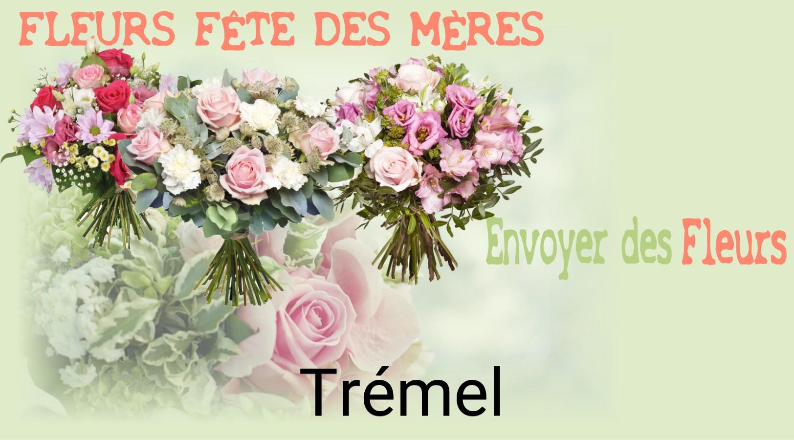 Bouquet de Fête des Mères livré à Trémel